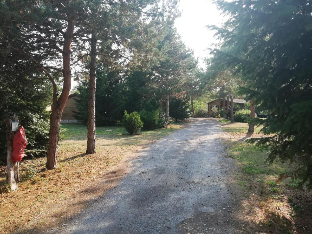 Au Soleil De Picardie Presles-et-Boves Kültér fotó